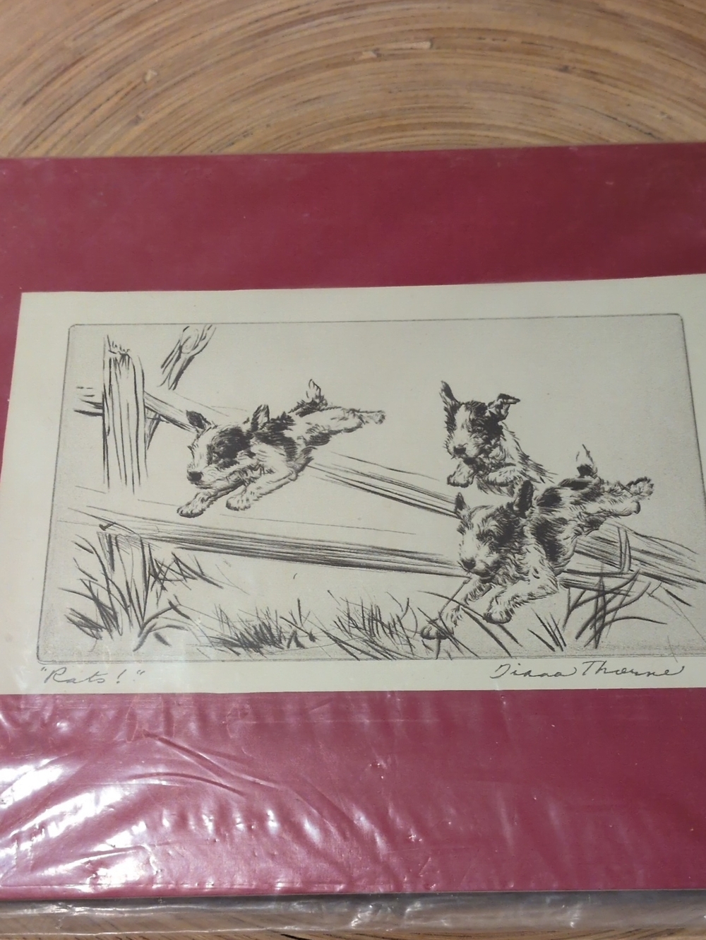 Authentic Diana Thorne 1935 Cute Rat Terriers Jumping Fence Art Print Matted
